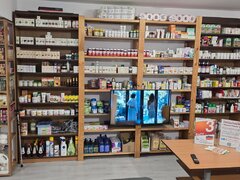 Coleg sau colega de apartament